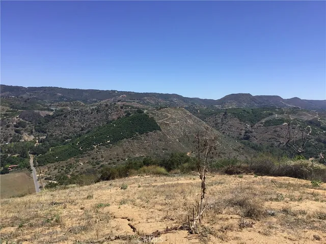 a view of a dry yard