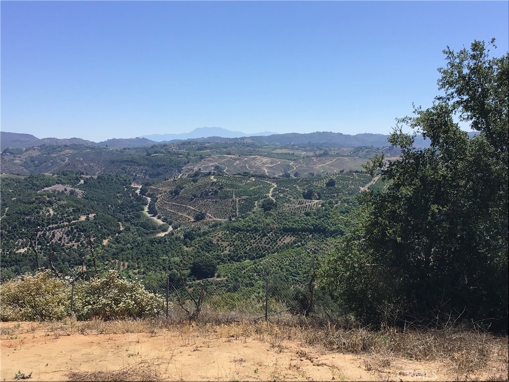 1 Monte Rancho Drive Temecula, CA 92590 - Photo 23 of 66 a view of a yard with a tree