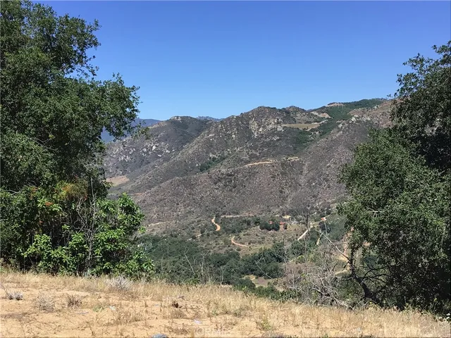 a view of a forest with mountains in the background