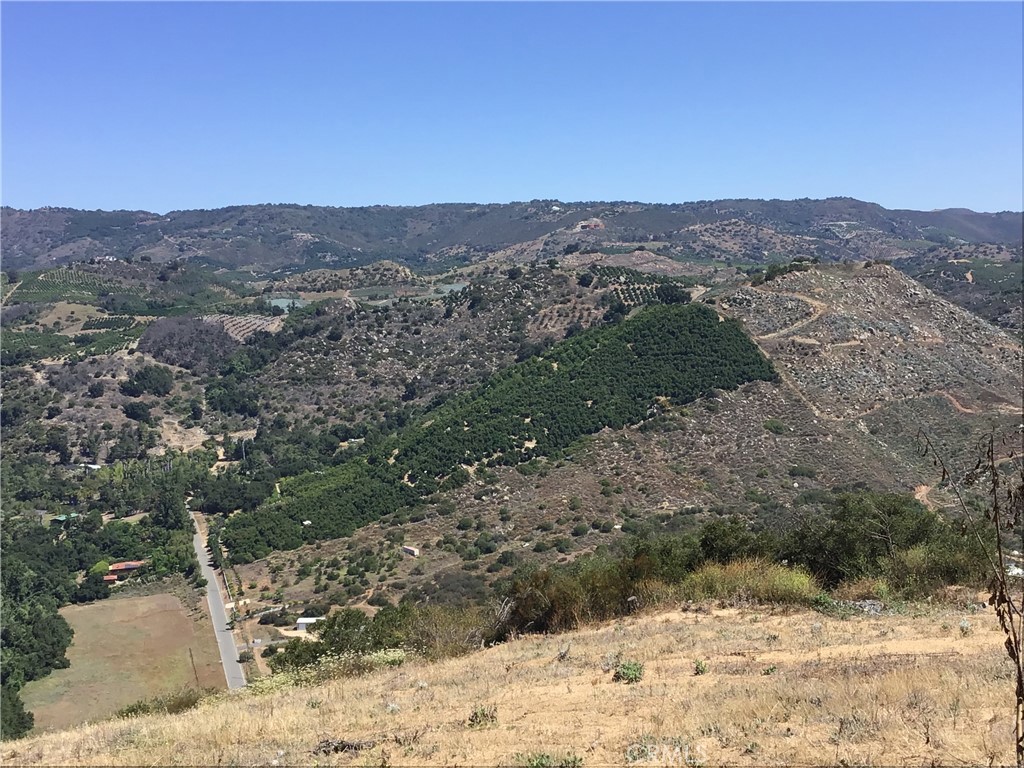 1 Monte Rancho Drive Temecula, CA 92590 - Photo 31 of 66 a view of a yard with a mountain