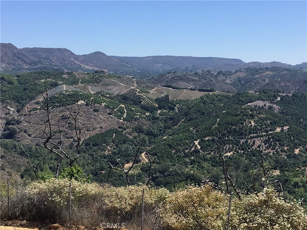 1 Monte Rancho Drive Temecula, CA 92590 - Photo 34 of 66 a view of a lush green hillside and a mountain