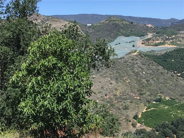 a view of a yard with plants and trees