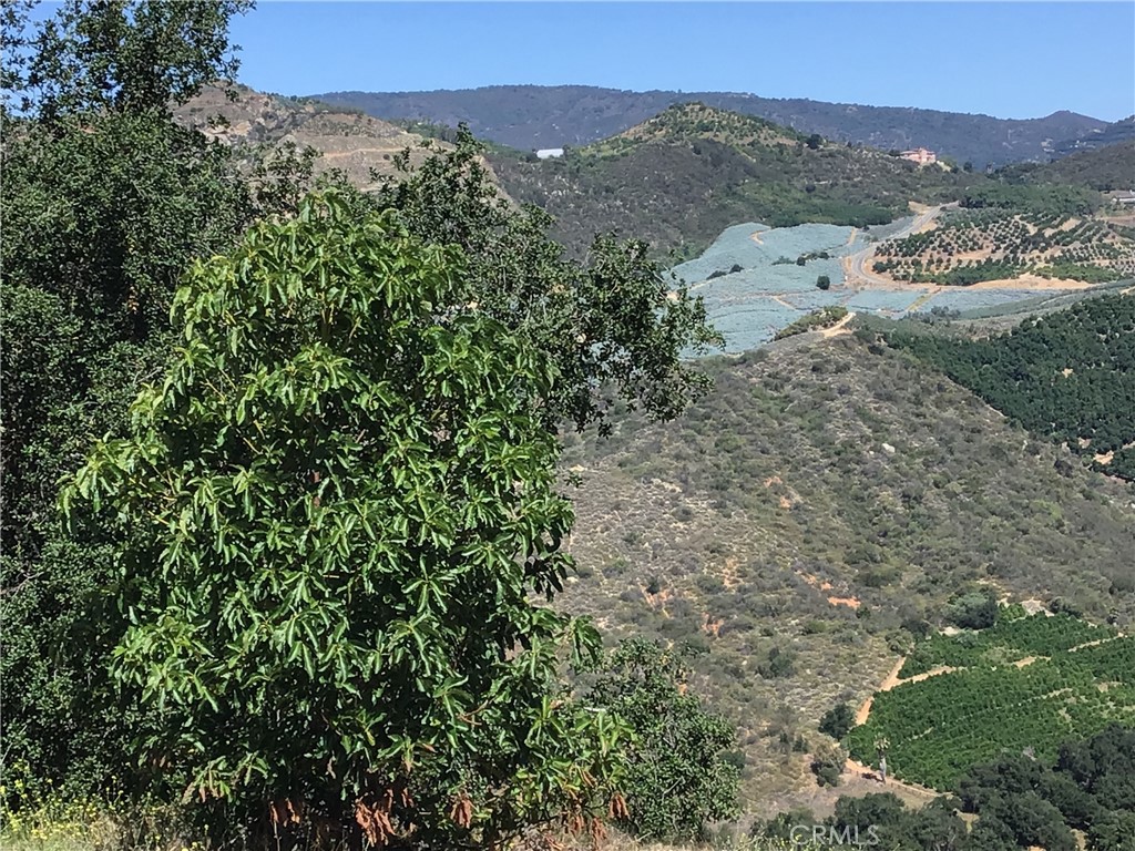 1 Monte Rancho Drive Temecula, CA 92590 - Photo 38 of 66