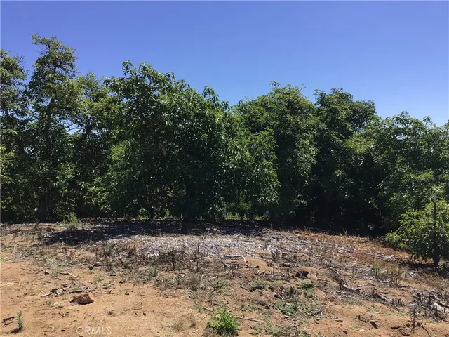 a view of a snow with trees in the background