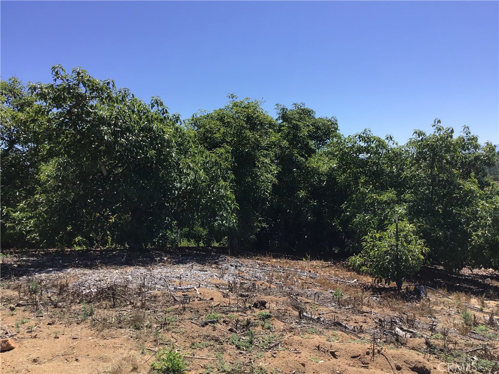 1 Monte Rancho Drive Temecula, CA 92590 - Photo 40 of 66