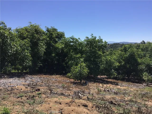 a view of a yard with a tree