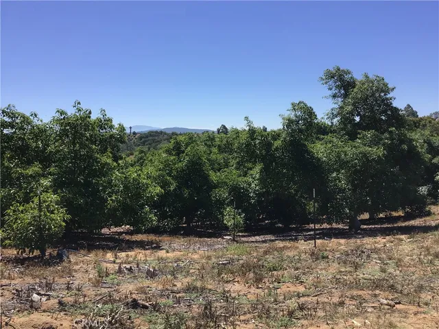 a view of a dirt road with trees in the background