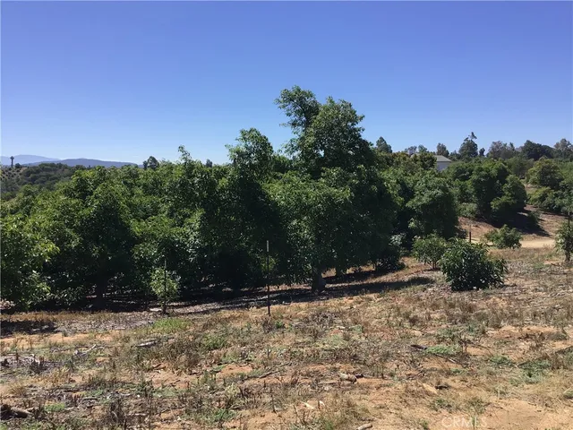 a view of a backyard of a house