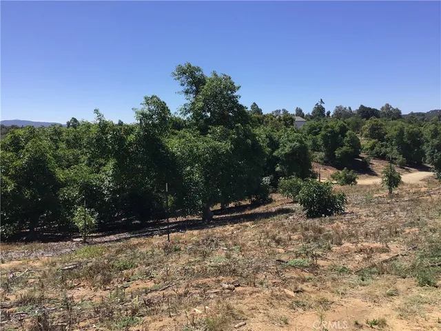 a view of a yard with a tree