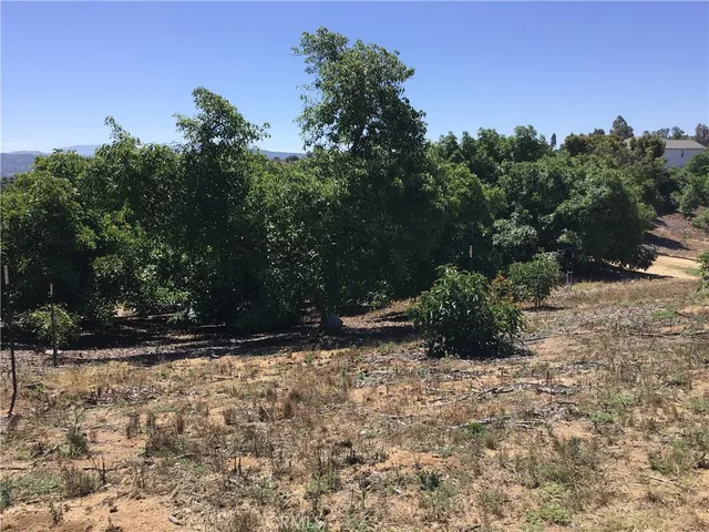 a view of a yard with trees