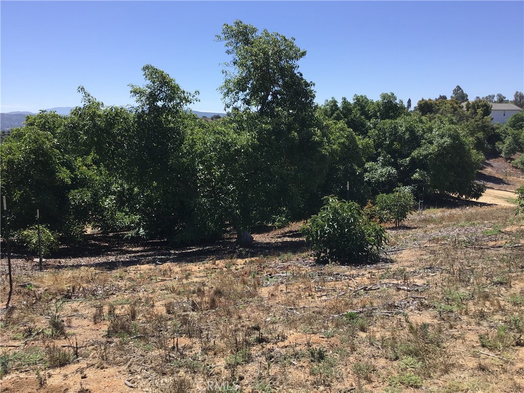 1 Monte Rancho Drive Temecula, CA 92590 - Photo 45 of 66 a view of a yard with trees