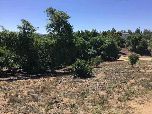 a view of backyard with green space