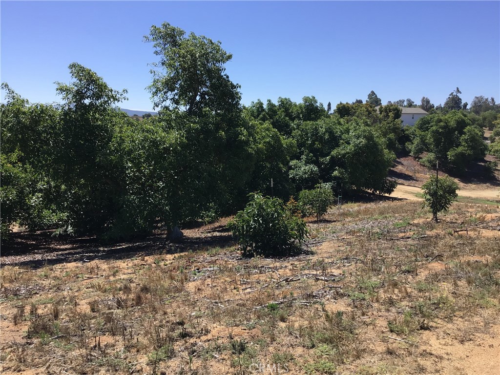 1 Monte Rancho Drive Temecula, CA 92590 - Photo 46 of 66