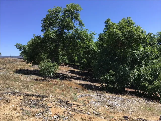 a view of a backyard of a house