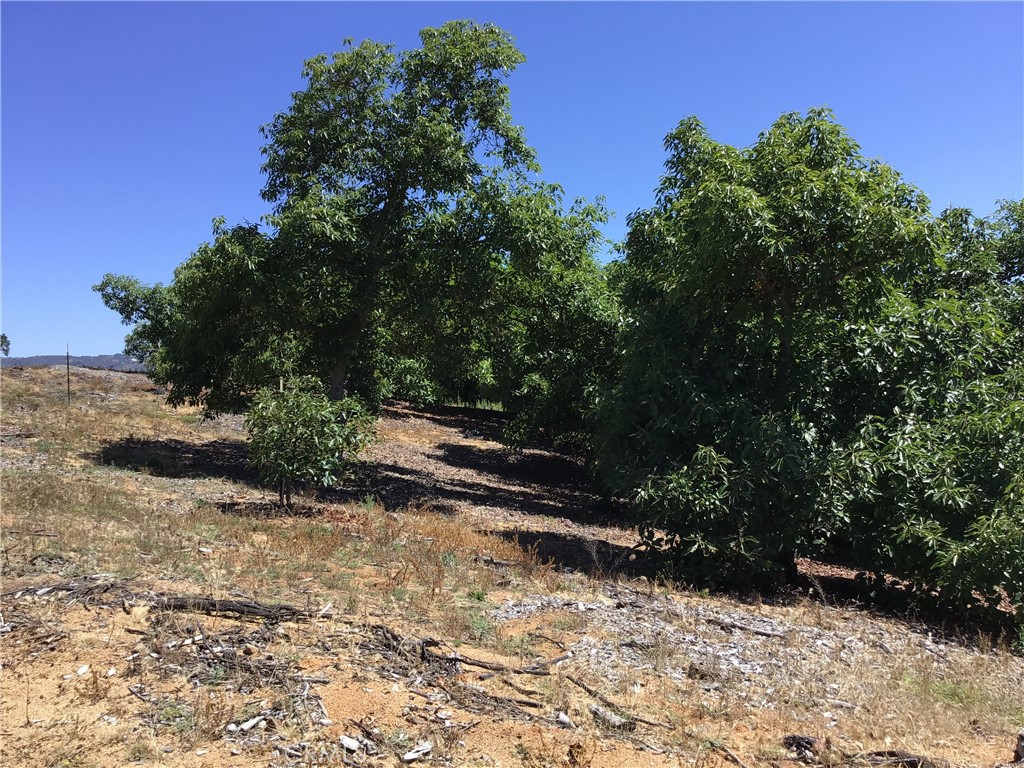 1 Monte Rancho Drive Temecula, CA 92590 - Photo 50 of 66 a view of outdoor space and yard