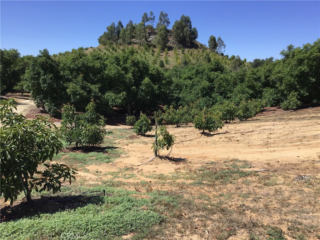 1 Monte Rancho Drive Temecula, CA 92590 - Photo 53 of 66 a view of a snow with trees in the background