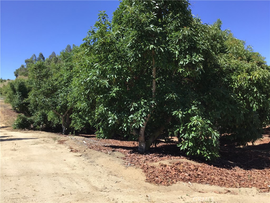 1 Monte Rancho Drive Temecula, CA 92590 - Photo 58 of 66 a view of a backyard of a house
