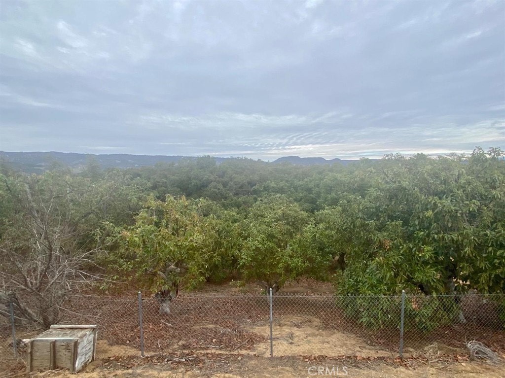 1 Monte Rancho Drive Temecula, CA 92590 - Photo 6 of 66 a view of a yard with an outdoor space