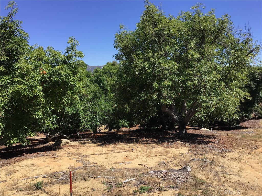 1 Monte Rancho Drive Temecula, CA 92590 - Photo 61 of 66 a view of backyard with green space