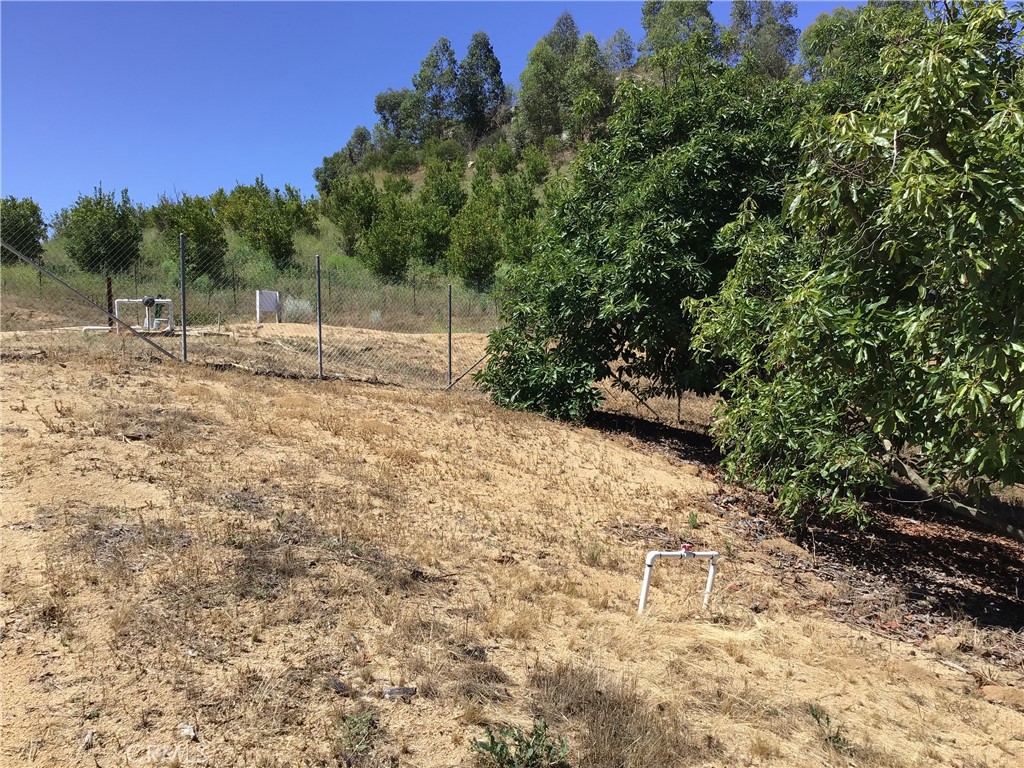 1 Monte Rancho Drive Temecula, CA 92590 - Photo 65 of 66 a view of a yard with trees
