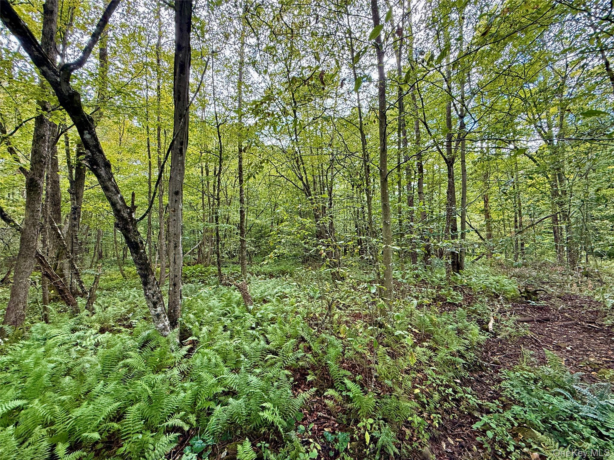 216 Neer Road Long Eddy, NY 12760 - Photo 24 of 48