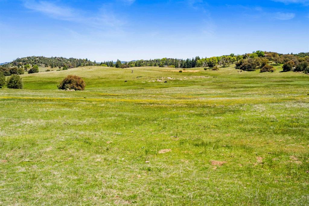 3510 Deer Lake Park Road Julian, CA 92036 - Photo 11 of 30 a view of an ocean