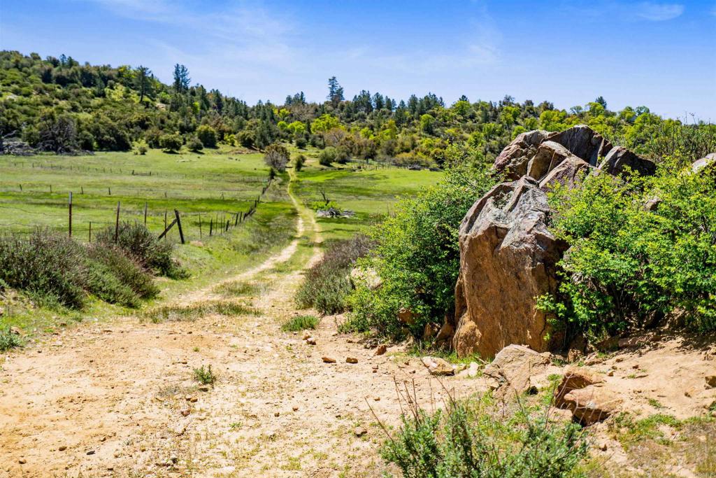 3510 Deer Lake Park Road Julian, CA 92036 - Photo 18 of 30 a view of a field with a tree in the background