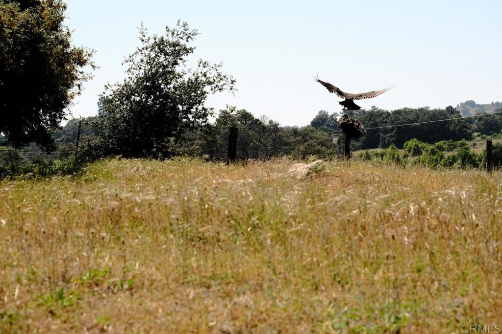 3510 Deer Lake Park Road Julian, CA 92036 - Photo 24 of 30
