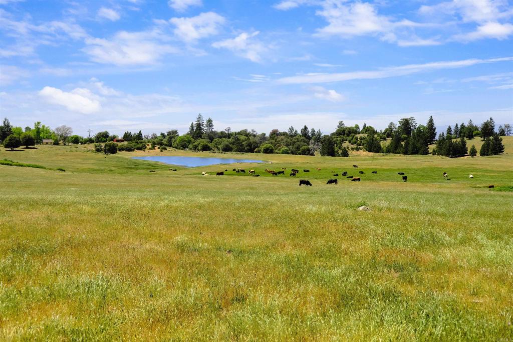 3510 Deer Lake Park Road Julian, CA 92036 - Photo 6 of 30