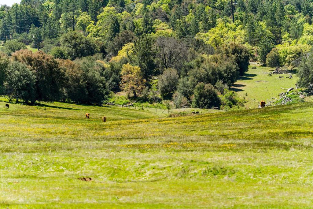 3510 Deer Lake Park Road Julian, CA 92036 - Photo 9 of 30 a view of a swimming pool with an outdoor space and seating area