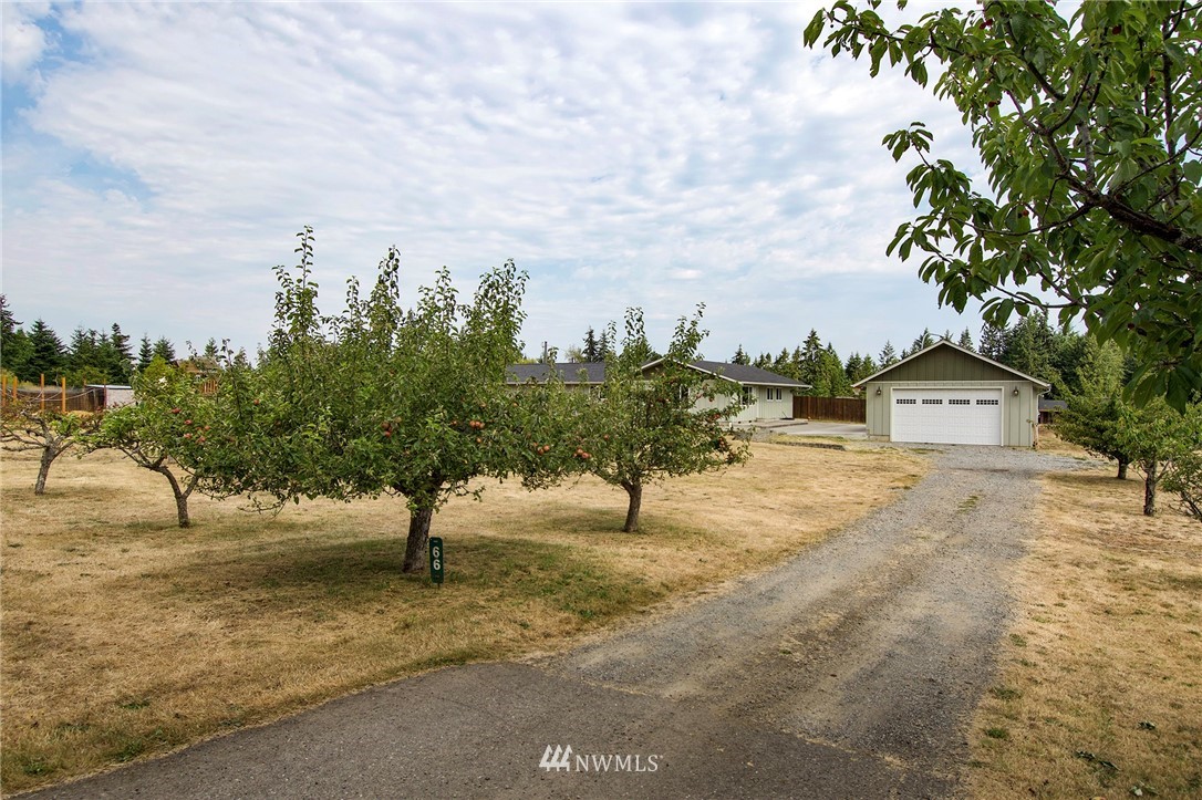 66 Blue Mountain Road Port Angeles, WA 98362 - Photo 38 of 40 Gallery Image 38