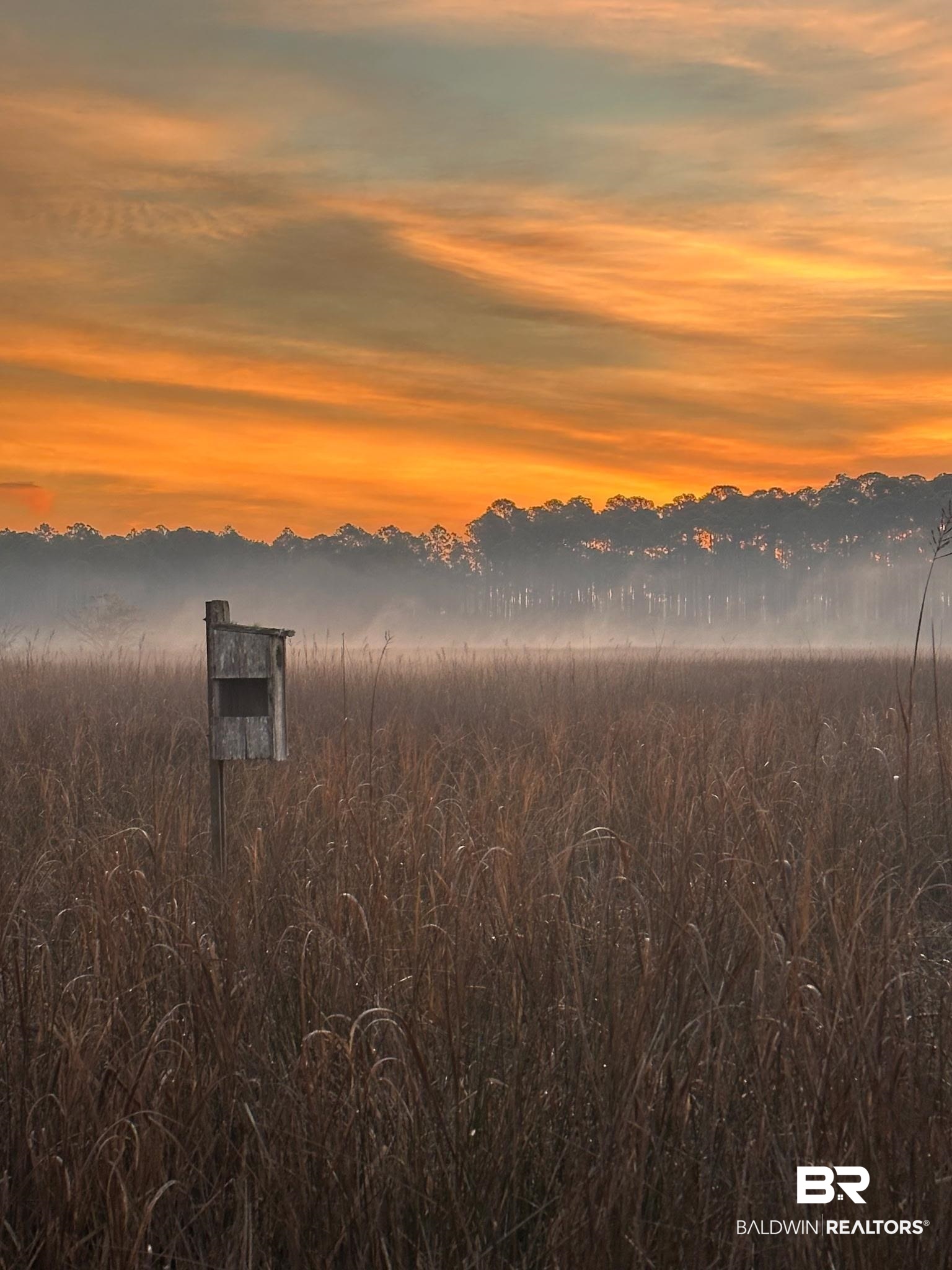 15025 Bellingrath Road Coden, AL 36523 - Photo 69 of 79 sunrise view