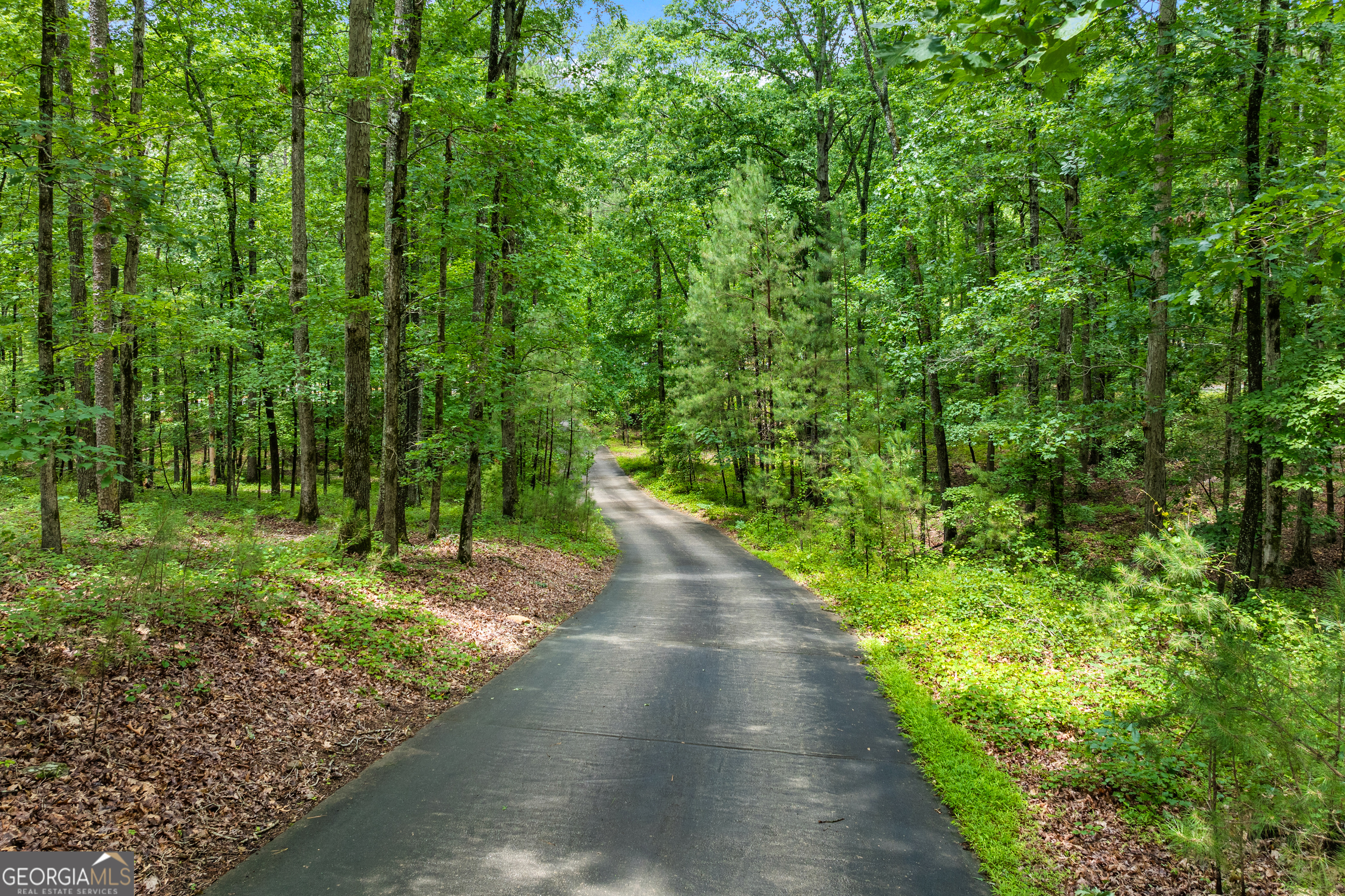 6020 Cochran Mill Road Chattahoochee Hills, GA 30213 - Photo 43 of 44 a view of a pathway both side of yard