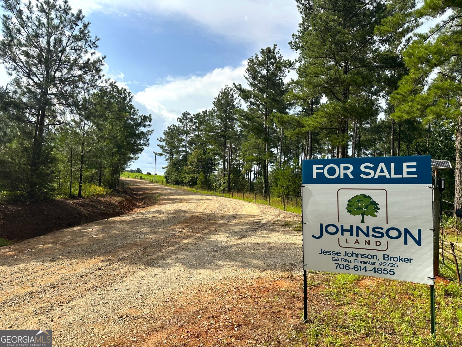 2286 Duffell Martin Road Comer, GA 30629 - Photo 81 of 81