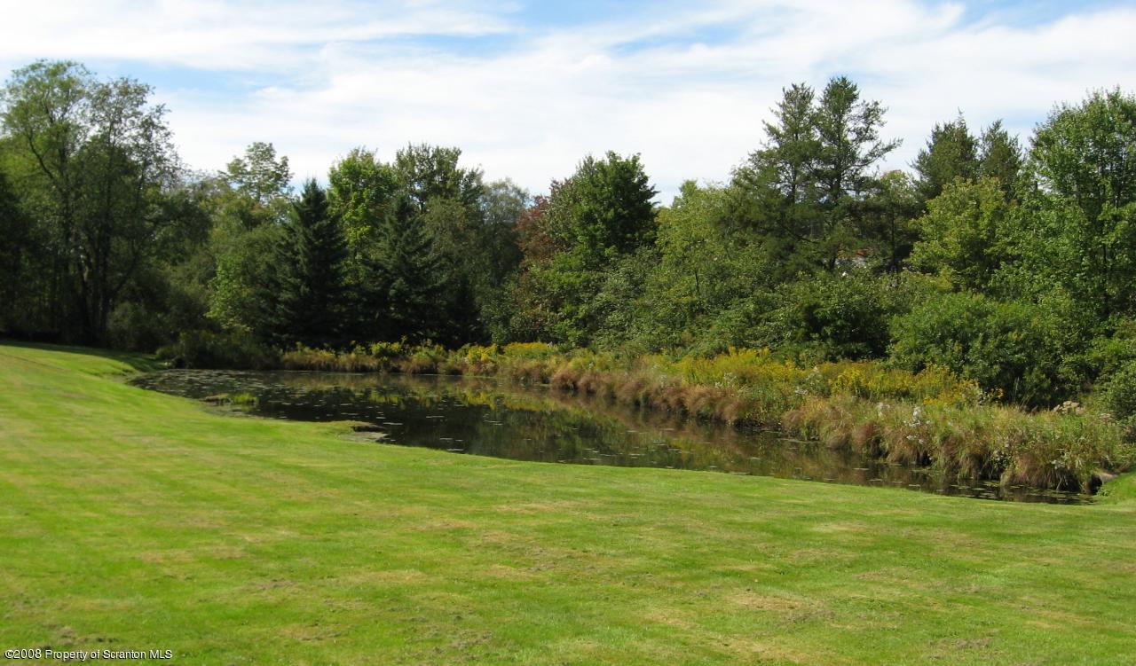 4050 Bear Brook Road Moscow, PA 18444 - Photo 5 of 8 a view of a lake with a yard