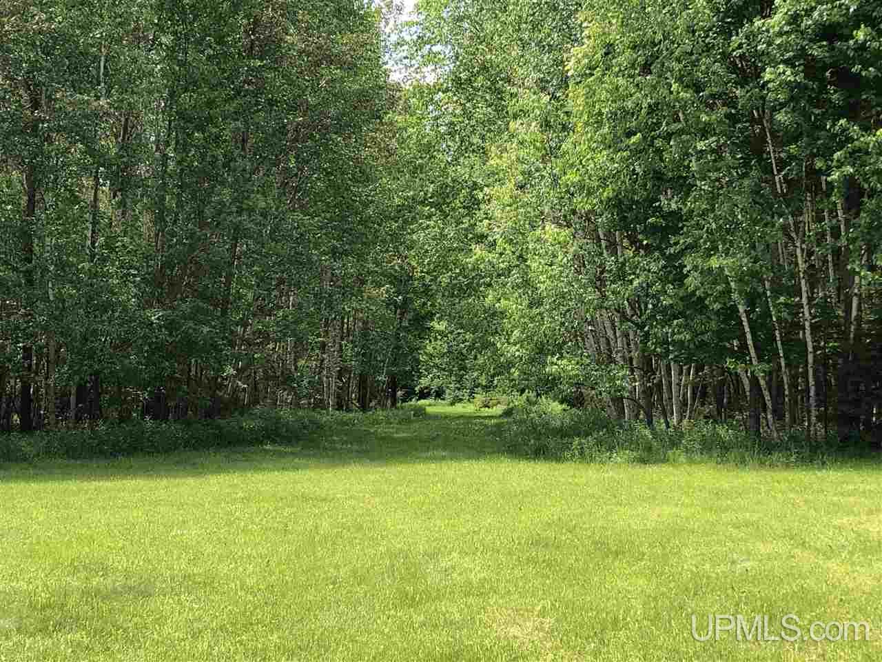 Tbd West Edge Road Germfask, MI 49836 - Photo 7 of 30 Gallery Image 7