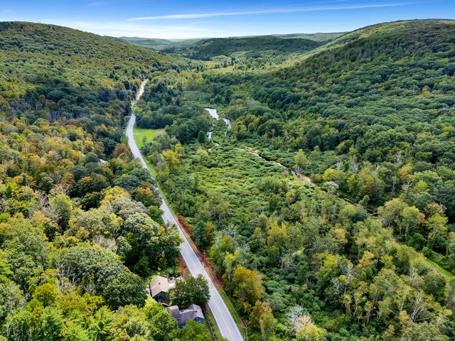 a view of a lush green forest with a lush green forest