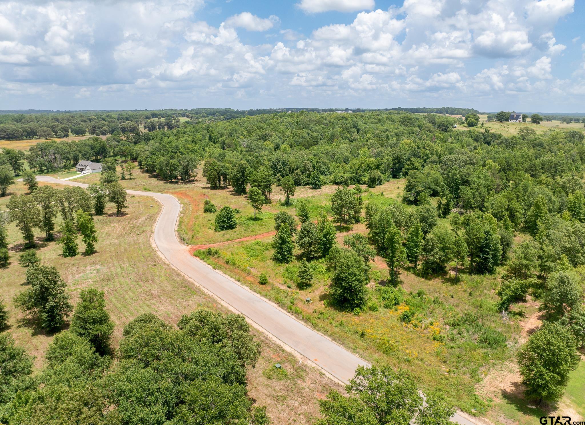 920 Stone Chimney Road Bullard, TX 75757 - Photo 3 of 7 a view of a bunch of plants and trees