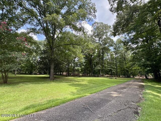 481 Greenfield Road Natchez, MS 39120 - Photo 2 of 52 Entrance