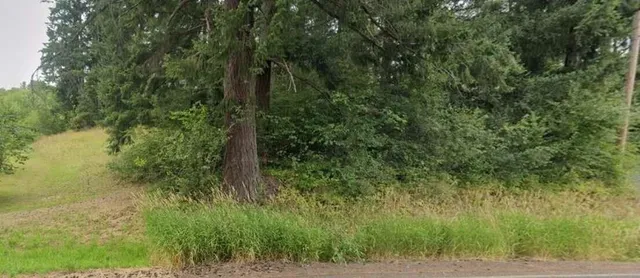 $20,000 | 0 Tillicum Drive, Chehalis, WA 98532