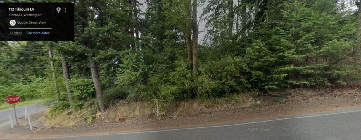 0 Tillicum Drive Chehalis, WA 98532 - Photo 2 of 5