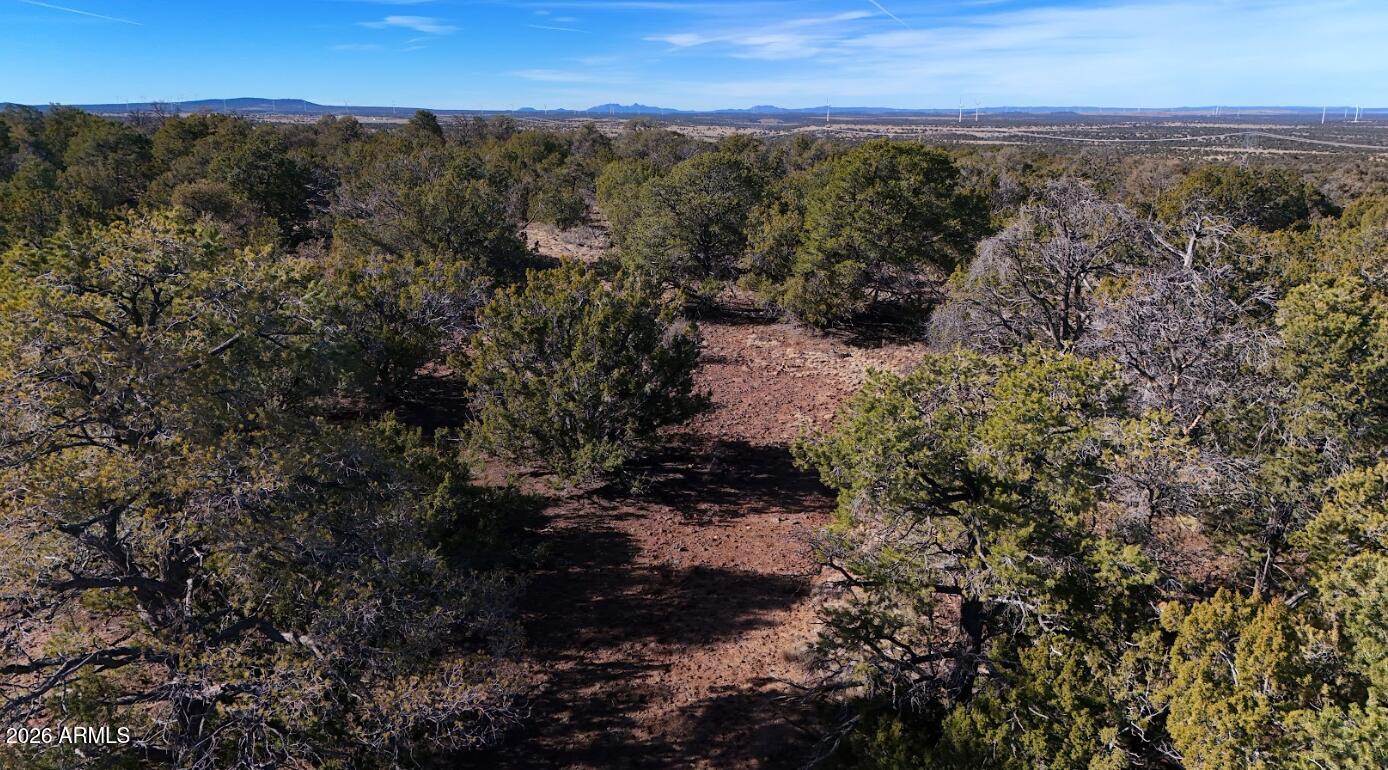 731 East Snowdrift Road, Unit 248 Williams, AZ 86046 - Photo 8 of 9 Gallery Image 8