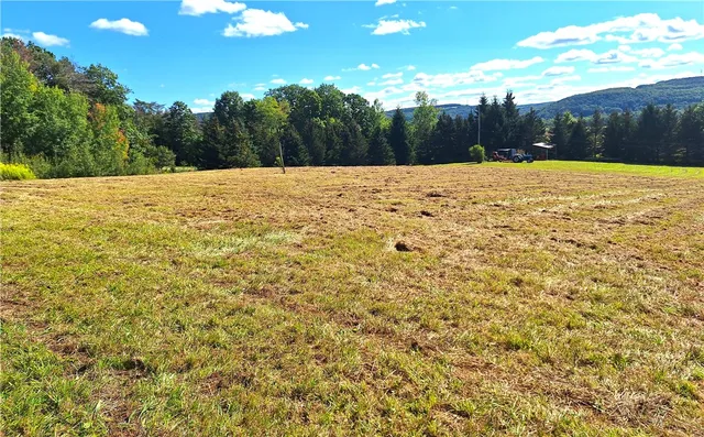 $49,900 | Rt-21 Street North, Wayland, NY 14572