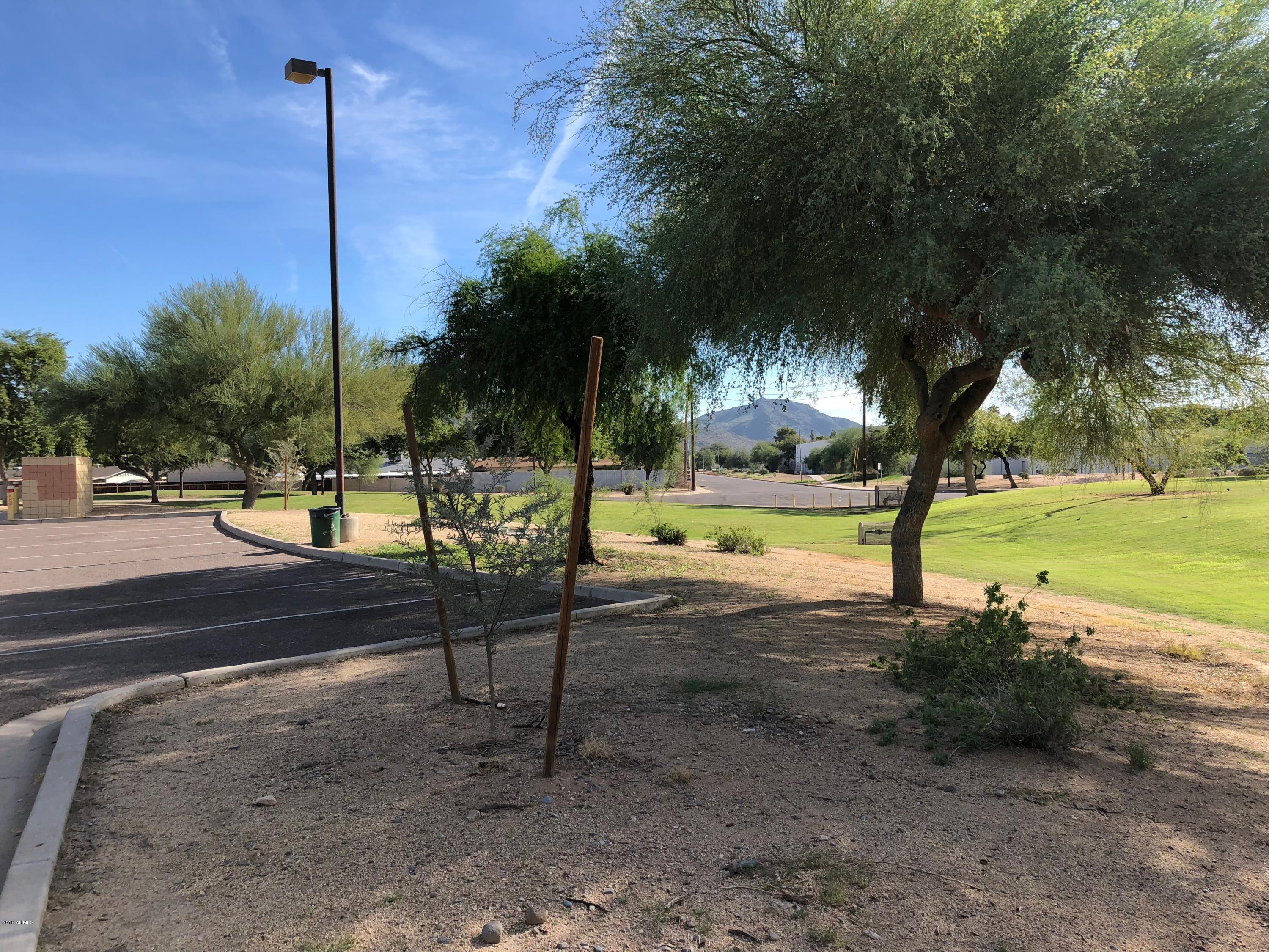 2338 West Cholla Street Phoenix, AZ 85029 - Photo 23 of 23 IMG-4055