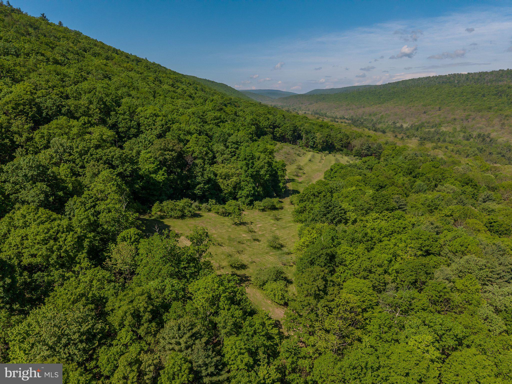 1520 Lingle Valley Road Milroy, PA 17063 - Photo 7 of 144 Lush green valley under a clear sky.
