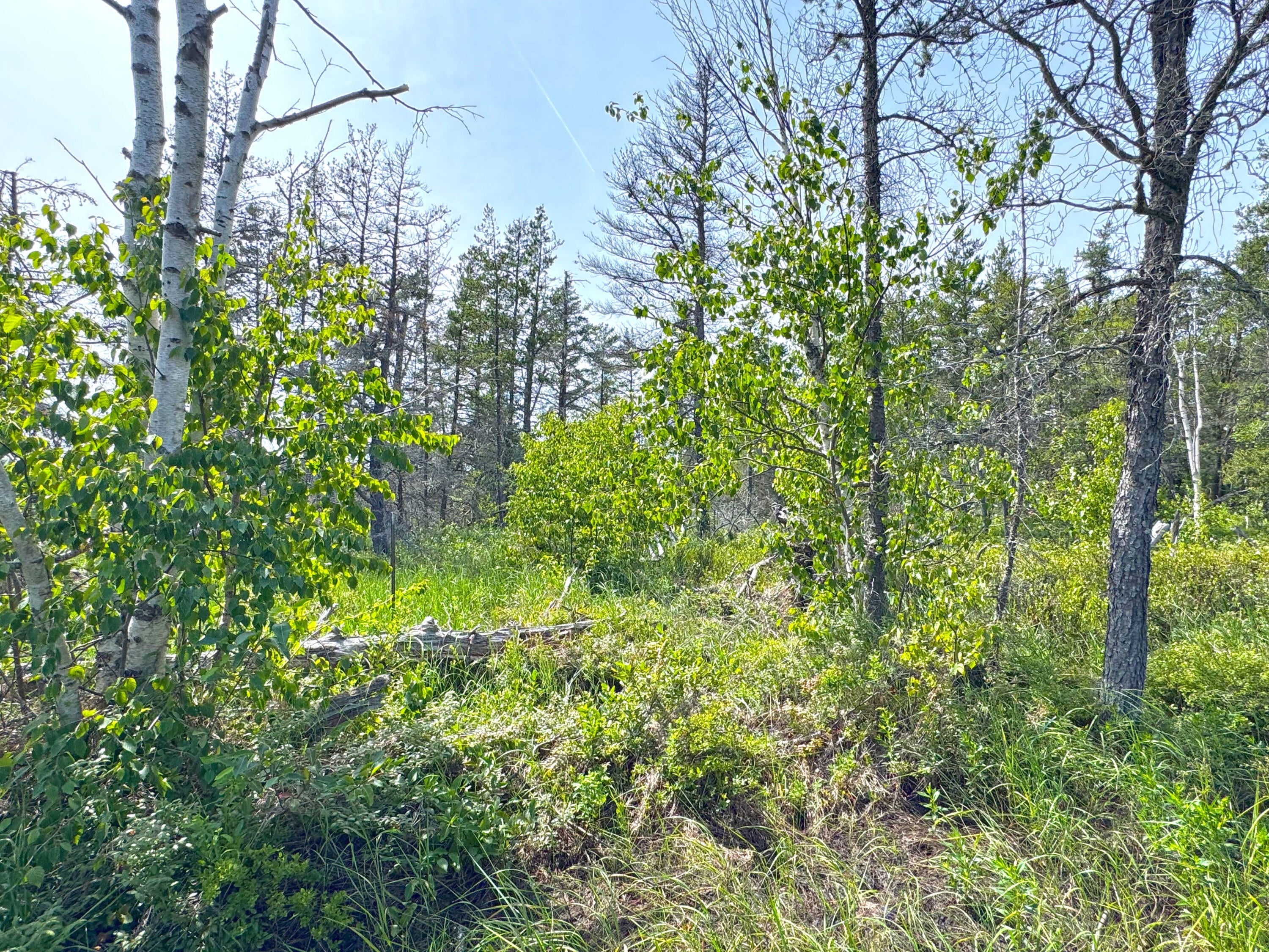 31005 West Wild Cat Road Paradise, MI 49768 - Photo 21 of 90 Gallery Image 21