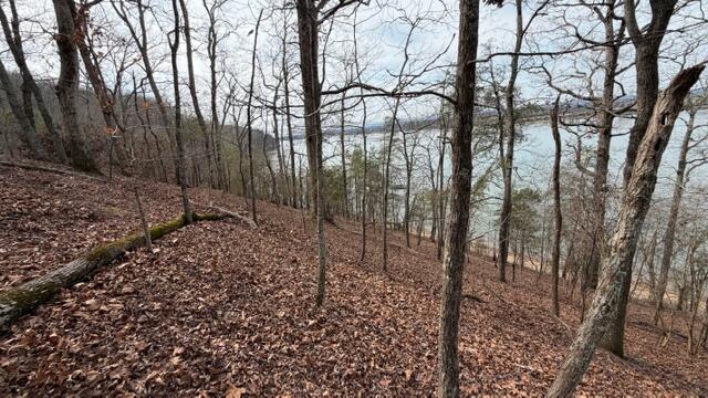 0 Pearson Road, Unit TRACT 3 Harrison, TN 37341 - Photo 9 of 9 IMG_T3