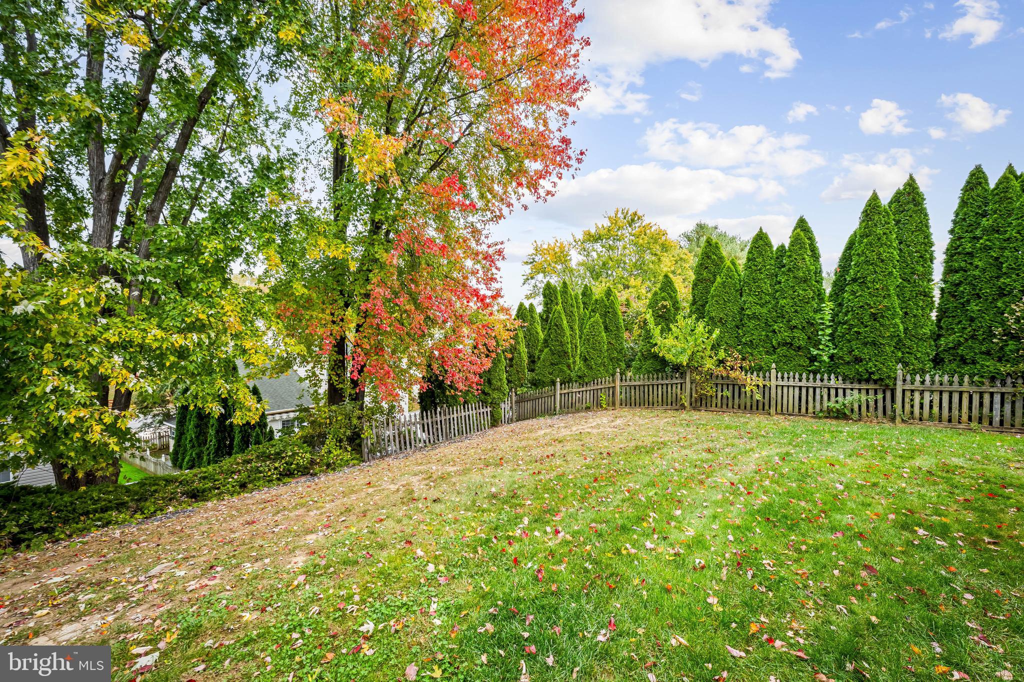 3746 Proctor Lane Nottingham, MD 21236 - Photo 3 of 36 a backyard of a house with lots of green space