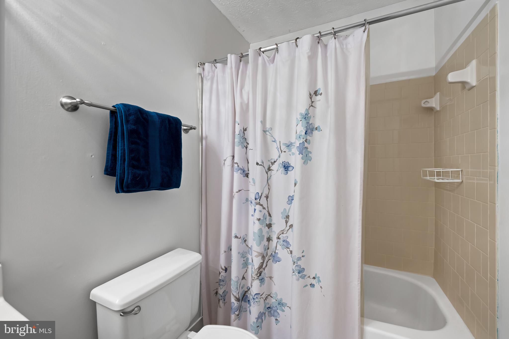 3746 Proctor Lane Nottingham, MD 21236 - Photo 31 of 36 a bathroom with a shower curtain and a toilet