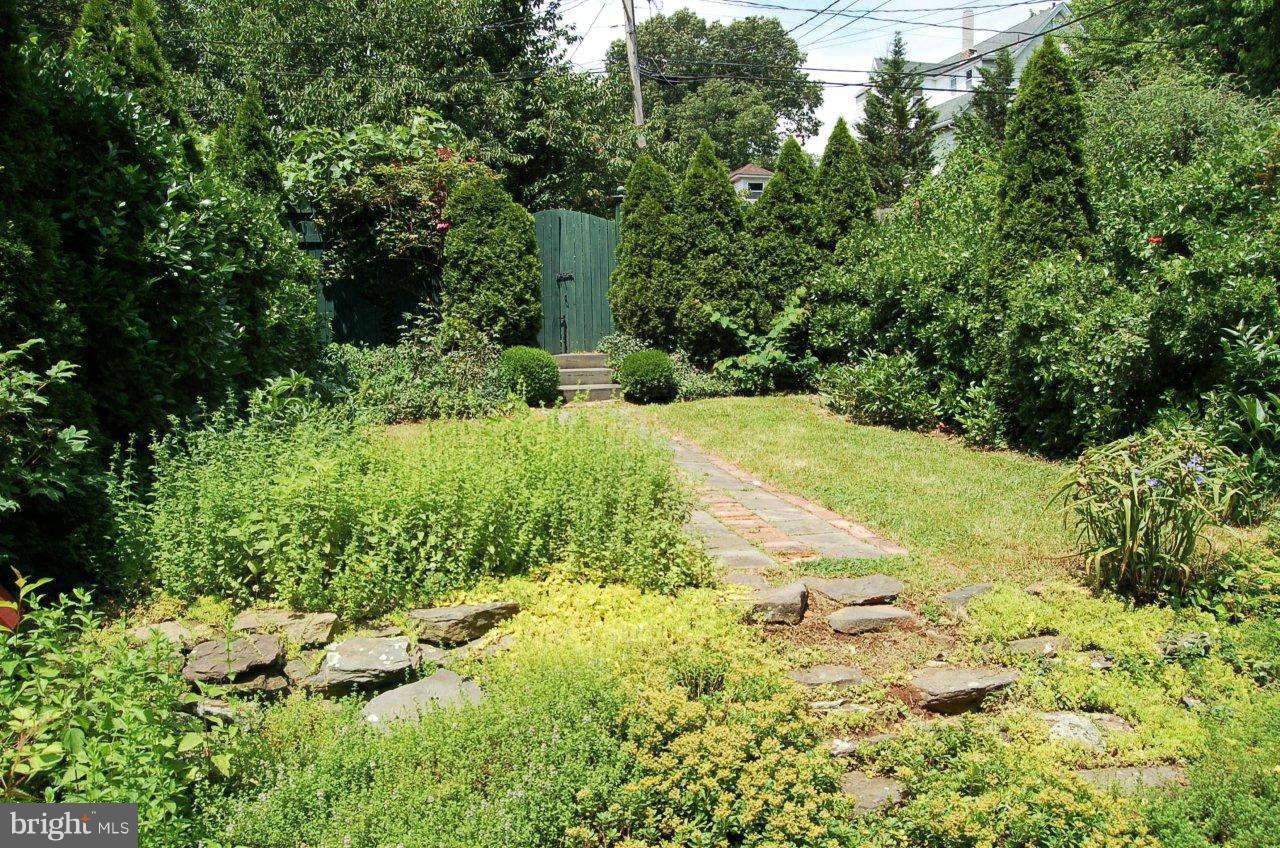 4616 Keswick Road Baltimore, MD 21210 - Photo 4 of 18 a view of a yard with plants and large trees